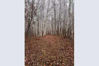 239 County 49 NW, Pine River, MN 56474 - Photo 104