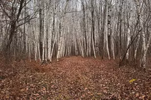 239 County 49 NW, Pine River, MN 56474 - Photo 104