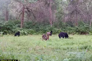 239 County 49 NW, Pine River, MN 56474 - Photo 80