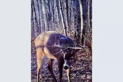 239 County 49 NW, Pine River, MN 56474 - Photo 72