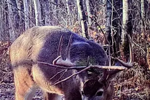 239 County 49 NW, Pine River, MN 56474 - Photo 72