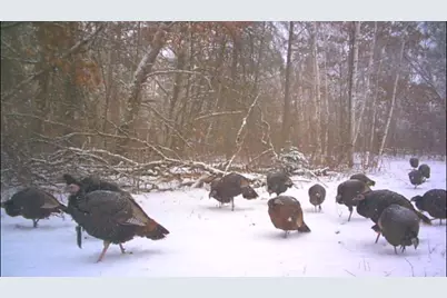 239 County 49 NW, Pine River, MN 56474 - Photo 66