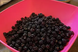 239 County 49 NW, Pine River, MN 56474 - Photo 82