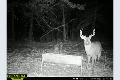 239 County 49 NW, Pine River, MN 56474 - Photo 80