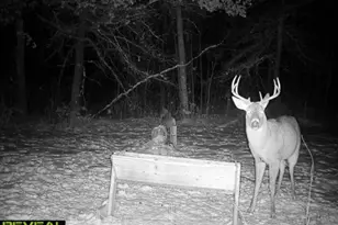 239 County 49 NW, Pine River, MN 56474 - Photo 80