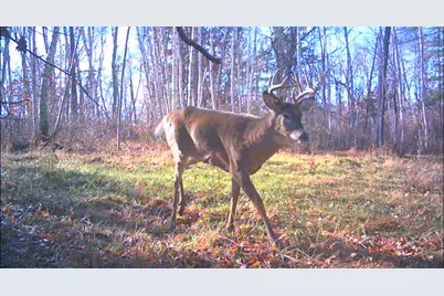 239 County 49 NW, Pine River, MN 56474 - Photo 64