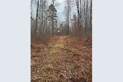 239 County 49 NW, Pine River, MN 56474 - Photo 100