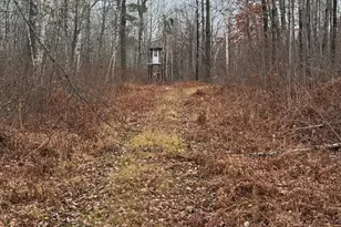 239 County 49 NW, Pine River, MN 56474 - Photo 100