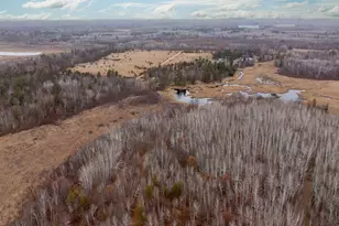 239 County 49 NW, Pine River, MN 56474 - Photo 10