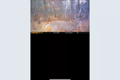 239 County 49 NW, Pine River, MN 56474 - Photo 78