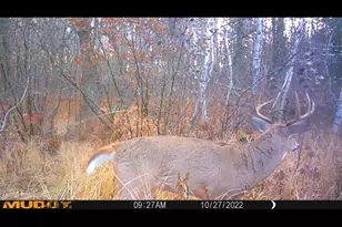 239 County 49 NW, Pine River, MN 56474 - Photo 78