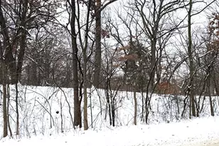 377 Totem Rd, Saint Paul, MN 55119 - Photo 1