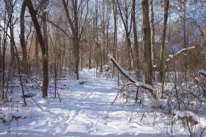 23429 London Street NE, Bethel, MN 55005 - Photo 50