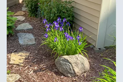 4890 Cottonwood Lane N, Plymouth, MN 55442 - Photo 46