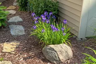 4890 Cottonwood Ln N, Plymouth, MN 55442 - Photo 46