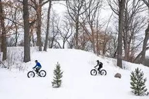 4130 Russell Ave N, Minneapolis, MN 55412 - Photo 22