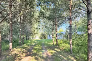 40884 Nature Ave, Fleming Twp, MN 56431 - Photo 2