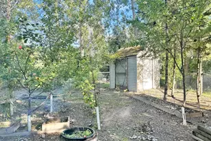 40884 Nature Ave, Fleming Twp, MN 56431 - Photo 20