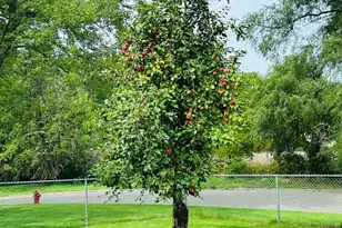 5040 Woodcrest Rd, White Bear Lake, MN 55110 - Photo 32