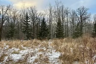 10496 160th St NE, Thief River Falls, MN 56701 - Photo 18