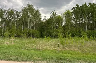 Tbd 160th Street NE, Thief River Falls, MN 56701 - Photo 1