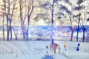 1516 Twin Springs Rd, Houlton, WI 54082 - Photo 58