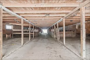 45562 Co Rd 194, Belgrade, MN 56312 - Photo 46