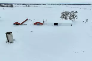45562 Co Rd 194, Belgrade, MN 56312 - Photo 62