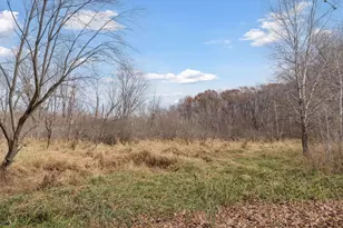 16911 Leyte St NE, Andover, MN 55304 - Photo 54