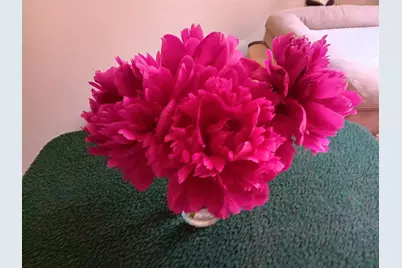 1645 Hickory Hill Drive, Eagan, MN 55122 - Photo 28