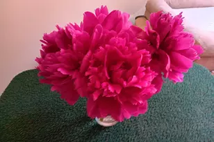 1645 Hickory Hill Dr, Eagan, MN 55122 - Photo 28