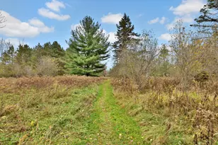 13599 Keystone Ave N, Hugo, MN 55038 - Photo 6