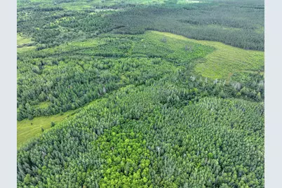 Xxxx W Riek Rd, Cook, MN 55723 - Photo 10