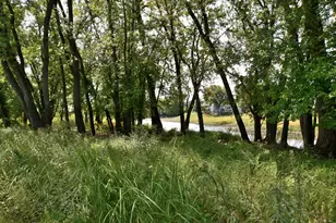 530 Lakeside Bay Dr S, Bayport, MN 55003 - Photo 18