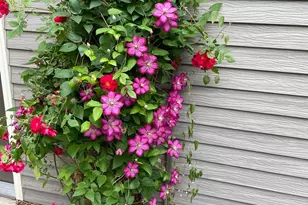 602 6th Ave SW, Austin, MN 55912 - Photo 42