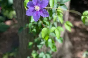 602 6th Ave SW, Austin, MN 55912 - Photo 54