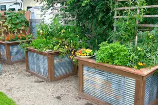 4438 Yates Ave N, Crystal, MN 55422 - Photo 16