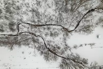 43513 Runaway Drive, Dakota, MN 55925 - Photo 12