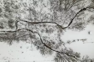 43513 Runaway Dr, Dakota, MN 55925 - Photo 12