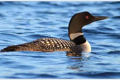 1920 Highway 11 E, International Falls, MN 56649 - Photo 60