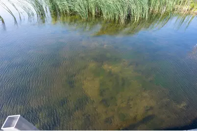 8149 Little Mary Circle SW, Alexandria, MN 56308 - Photo 10