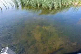 8149 Little Mary Cir SW, Alexandria, MN 56308 - Photo 10