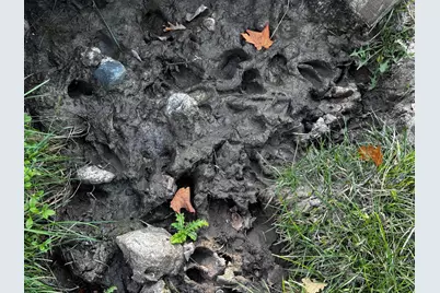 3108 Blackbird Rd NE, Cass Lake, MN 56633 - Photo 54