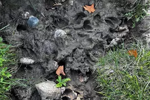 3108 Blackbird Rd NE, Cass Lake, MN 56633 - Photo 54