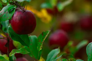 3108 Blackbird Rd NE, Cass Lake, MN 56633 - Photo 16