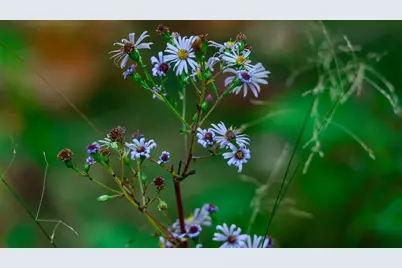 3108 Blackbird Rd NE, Cass Lake, MN 56633 - Photo 18