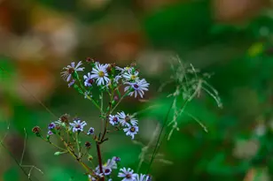 3108 Blackbird Rd NE, Cass Lake, MN 56633 - Photo 18