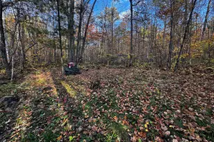 3108 Blackbird Rd NE, Cass Lake, MN 56633 - Photo 34