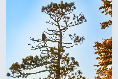 3108 Blackbird Rd NE, Cass Lake, MN 56633 - Photo 12