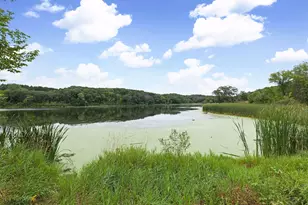 9498 Hamlet Ave S, Cottage Grove, MN 55016 - Photo 40